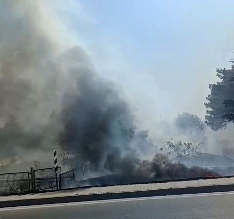 Eskişehir’de otluk alanda çıkan yangın geniş alana yayıldı