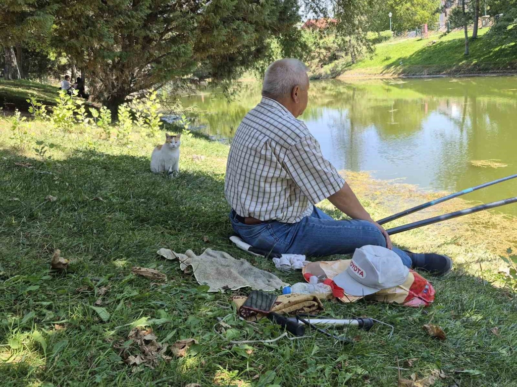 Akıllı sokak kedisi balık tutan adamın başından ayrılmadı