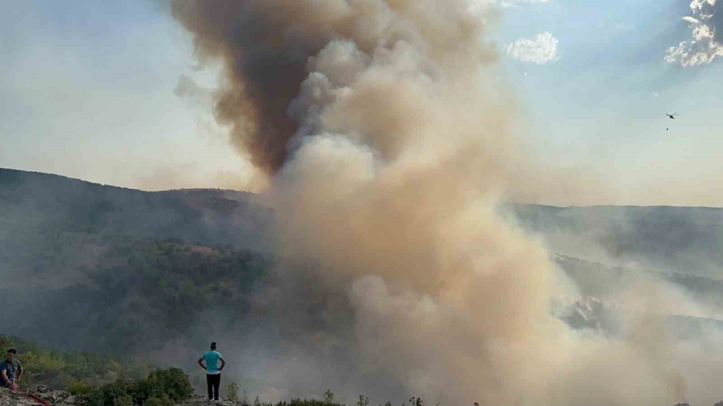 Kula’da tarım arazisinde çıkan yangın ormana sıçradı