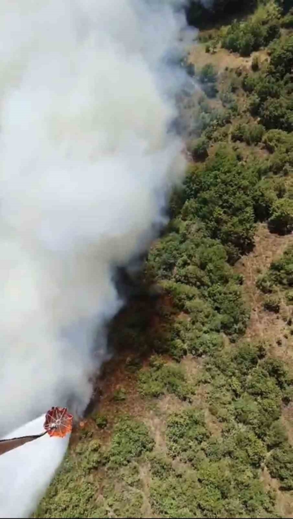 Bursa’da bir orman yangını daha