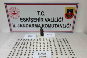 Jandarma tarihi eser değerinde 1 elmas, 1 heykel ve 194 bronz sikke ele geçirdi, şüpheli tutuklandı
