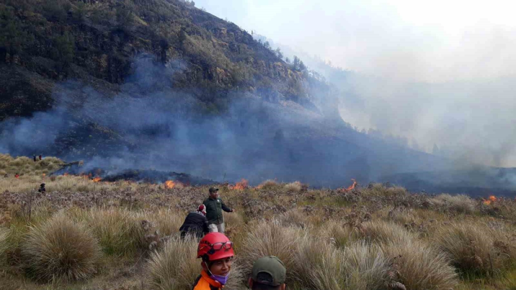 Endonezya’daki Bromo Dağı Milli Parkı’nda günlerdir süren yangın söndürülemiyor