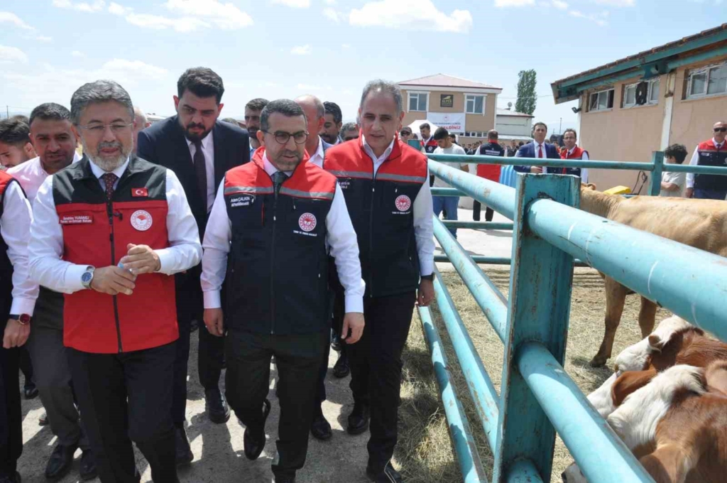 Bakan Yumaklı Kars’ta GEKİS’i tanıttı: Büyükbaş hayvancılıkta "dijital kimlik" dönemi başladı