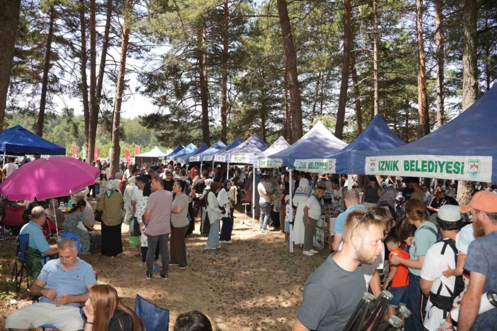 İznik’te 5. Maviyemiş Festivali’ne yoğun ilgi