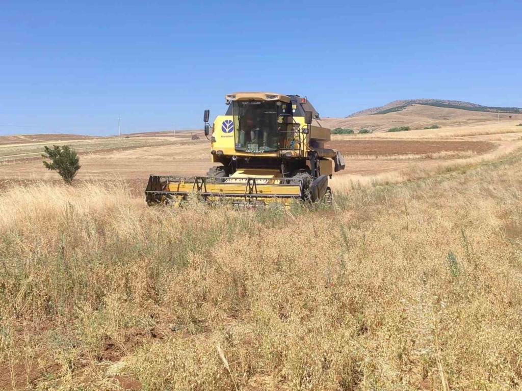 Kütahya’da yerli ve milli tohumlarda nohut hasadı gerçekleştirildi