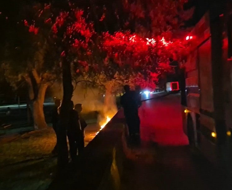 Eskişehir’de bir parkta kasten çıkarılan yangın ekipleri teyakkuza geçirdi