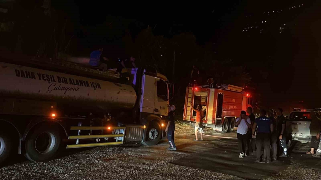 Alanya’da sazlık alanda yangın