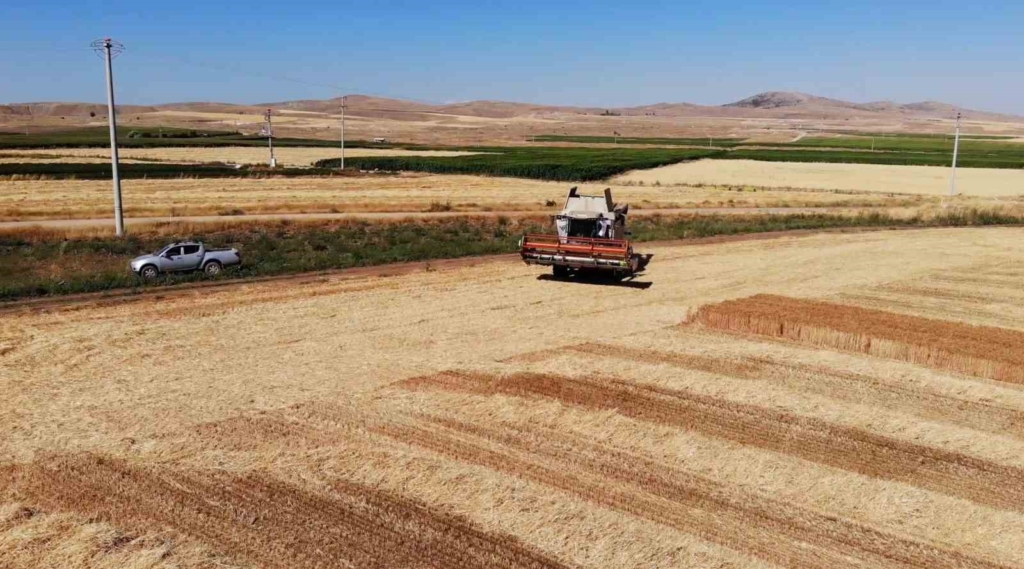 12 yıllık mühendislik kariyerini bırakıp baba mesleğine döndü