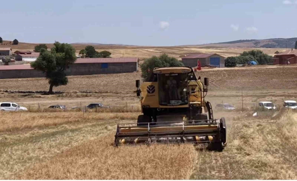 Kütahya’da 18 farklı nohut çeşidi aynı tarlada tanıtıldı