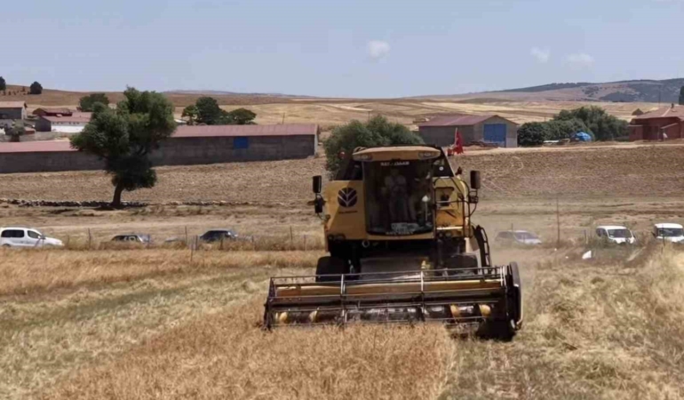 Kütahya’da 18 farklı nohut çeşidi aynı tarlada tanıtıldı