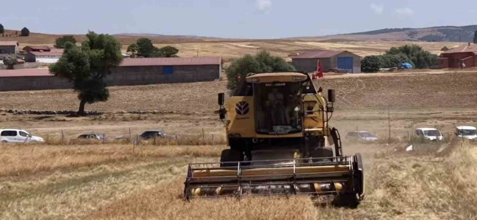 Kütahya’da 18 farklı nohut çeşidi aynı tarlada tanıtıldı
