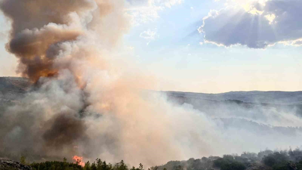 Kula’da tarım arazisinde çıkan yangın ormana sıçradı