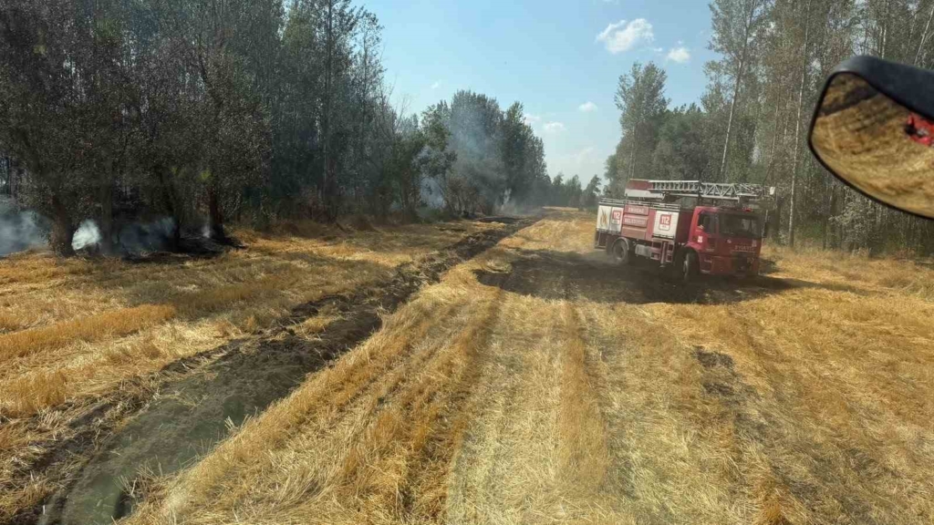 Emirdağ’da anız ve ağaçlık alanda yangın