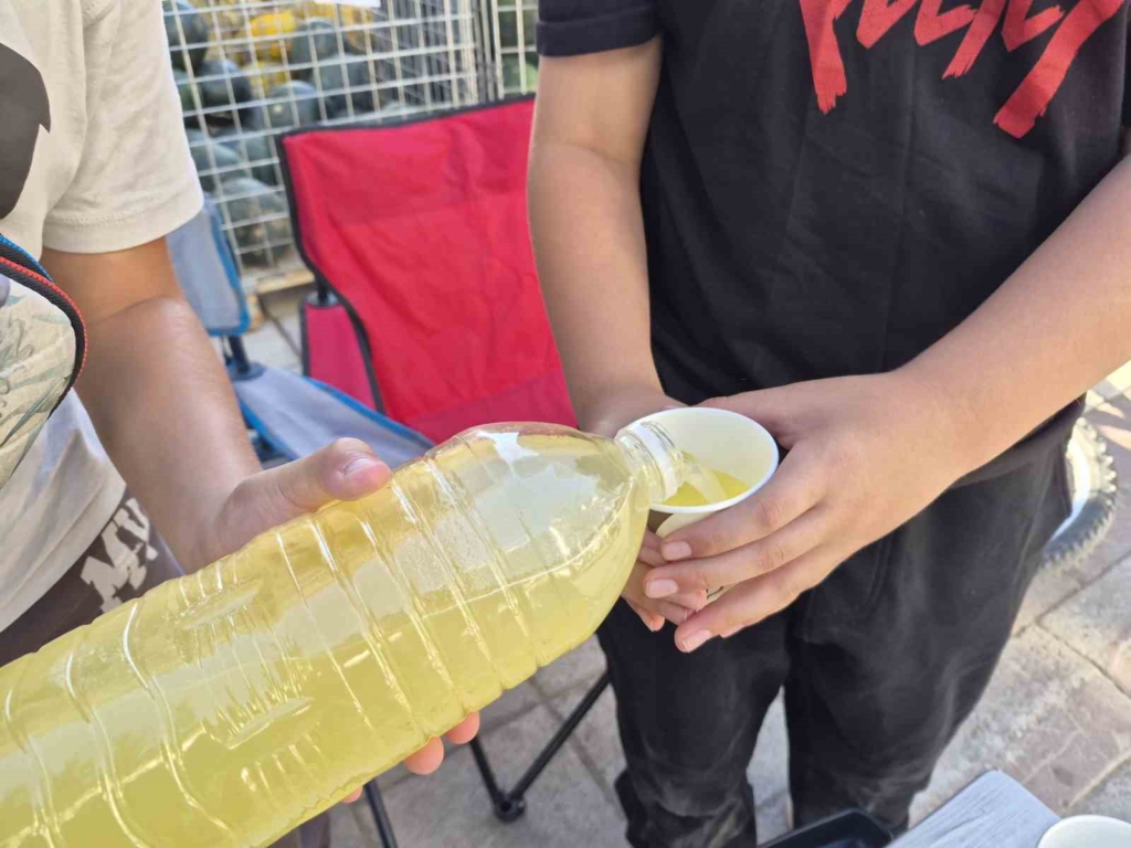 Okul harçlığını çıkarmak isteyen çocuklar limonata satarak aile bütçelerine katkı sağlıyor