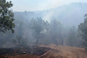 Bursa’da orman yangınına havadan ve karadan müdahale