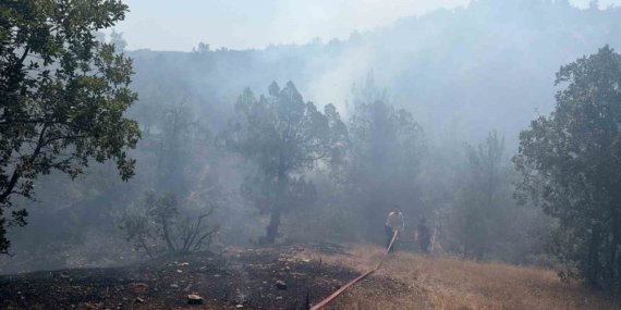 Bursa’da orman yangınına havadan ve karadan müdahale