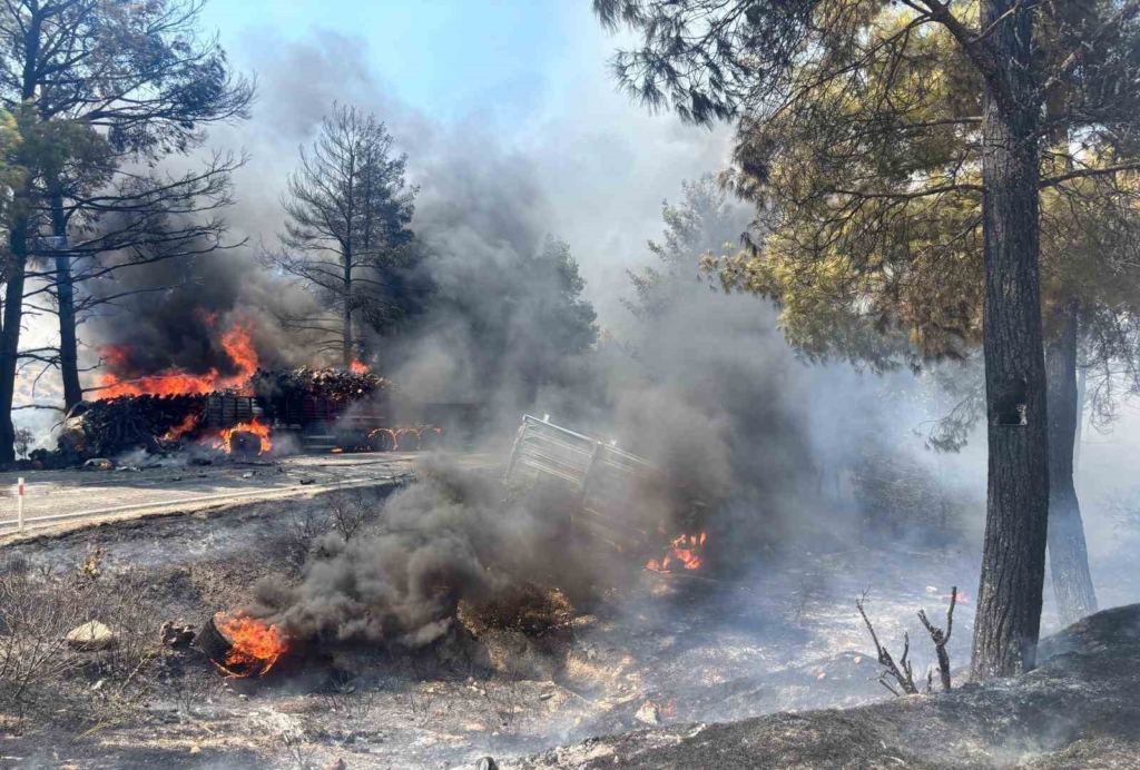 Mersin’de kaza sonrası araçlar alev aldı, yangın ormana sıçradı: 1 ölü, 2 yaralı