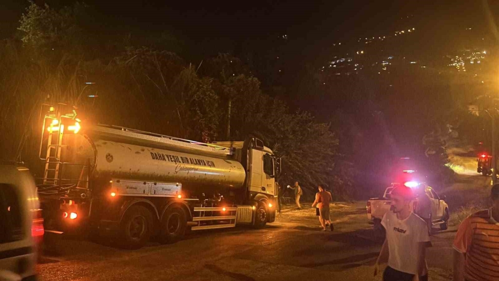 Alanya’da sazlık alanda yangın