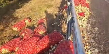 Kamyon devrildi, tonlarca soğan yola saçıldı: 2 yaralı