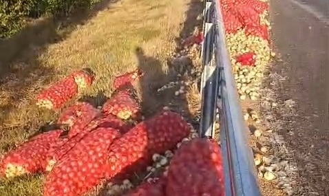 Kamyon devrildi, tonlarca soğan yola saçıldı: 2 yaralı