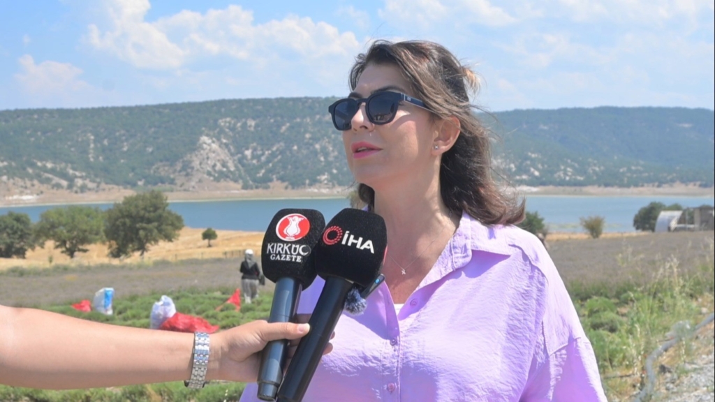 Kütahya’da 5 yıllık lavanta emeğinin hasadı kadınlara umut oldu