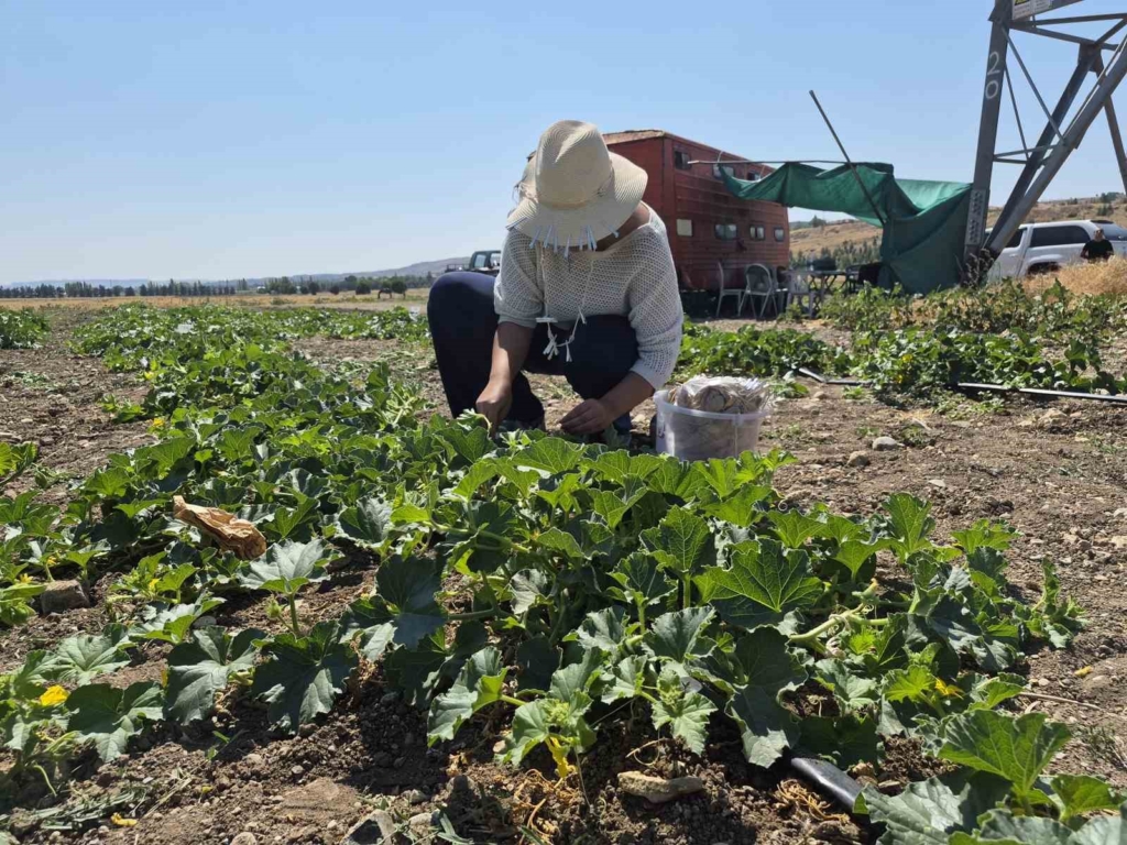 Geleceğin ziraat mühendisleri Eskişehir’de yetişiyor