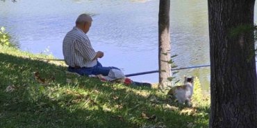 Akıllı sokak kedisi balık tutan adamın başından ayrılmadı