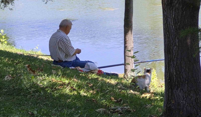 Eskişehir’de balık tutan adamın başından ayrılmayan kedi