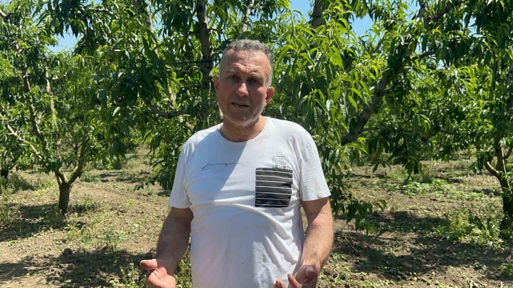 Sıfır kimyasal sıfır maliyet: Bedava hayvansal gübreyle üretim yapıyor
