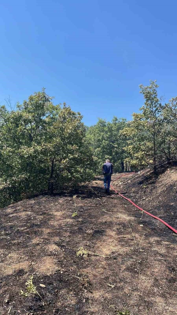 Bilecik’te orman yangını korkuttu