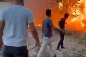 Birecik’te korkutan yangın