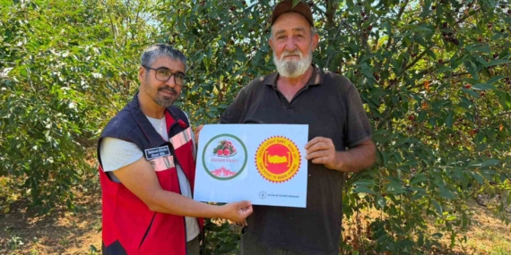 Şaphane Vişnesi için tescil çalışmaları sürüyor