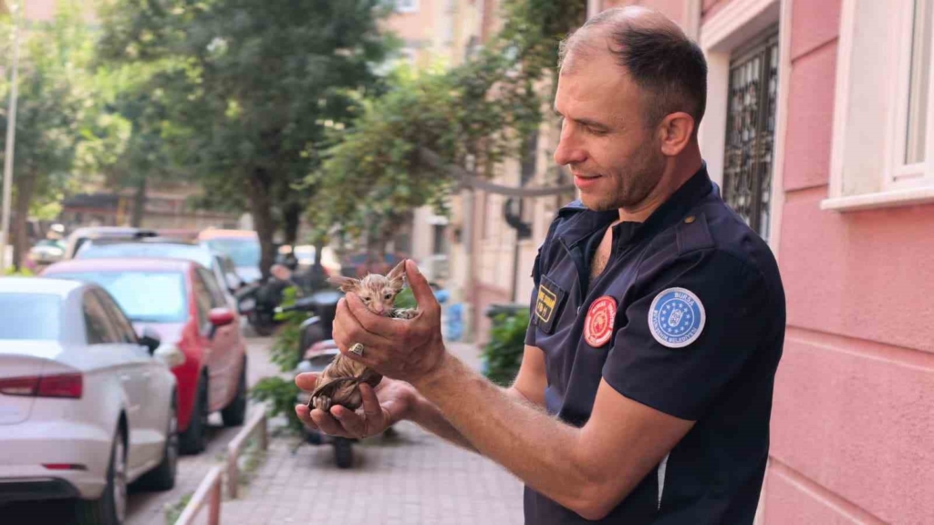 Yağmur suyu giderine sıkışan kediyi itfaiye kurtardı