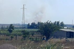Karacabey’de makilik alanda orman yangını