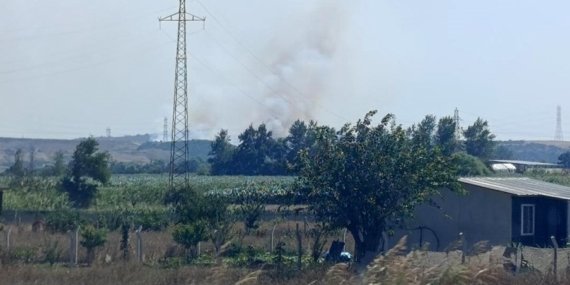 Karacabey’de makilik alanda orman yangını