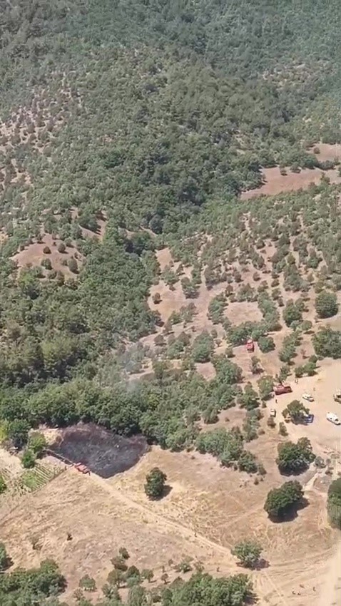Bursa’da orman yangınına havadan ve karadan müdahale