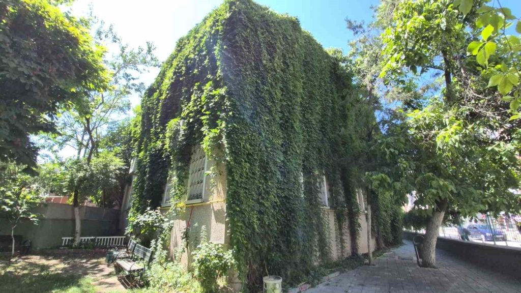 15 yıldır gönüllü olarak çalıştığı ’Sarmaşıklı Cami’ye gözü gibi bakıyor