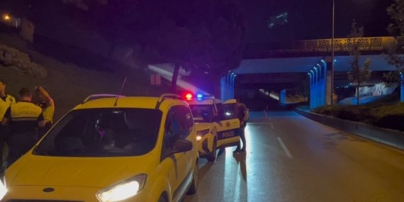 Kardeş kavgası babayı yola, polisi sokağa döktü