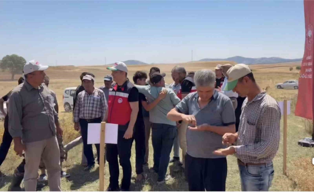 Kütahya’da 18 farklı nohut çeşidi aynı tarlada tanıtıldı
