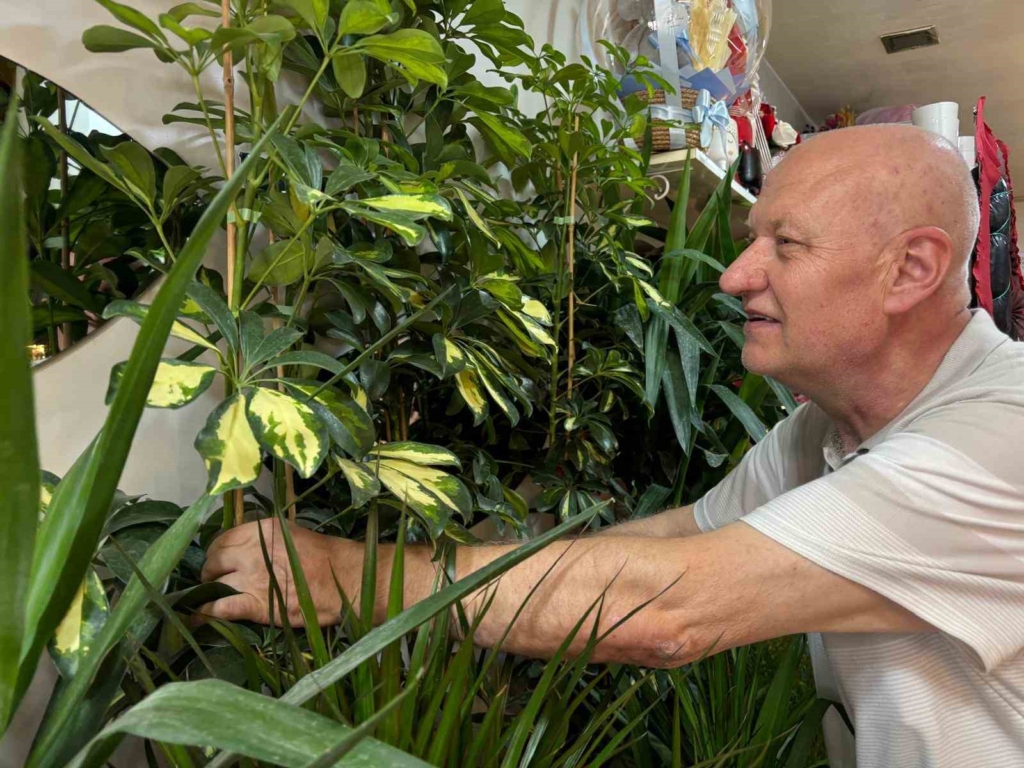 Çiçek bakımında yapılan en büyük yanlış bilinçsiz sulama
