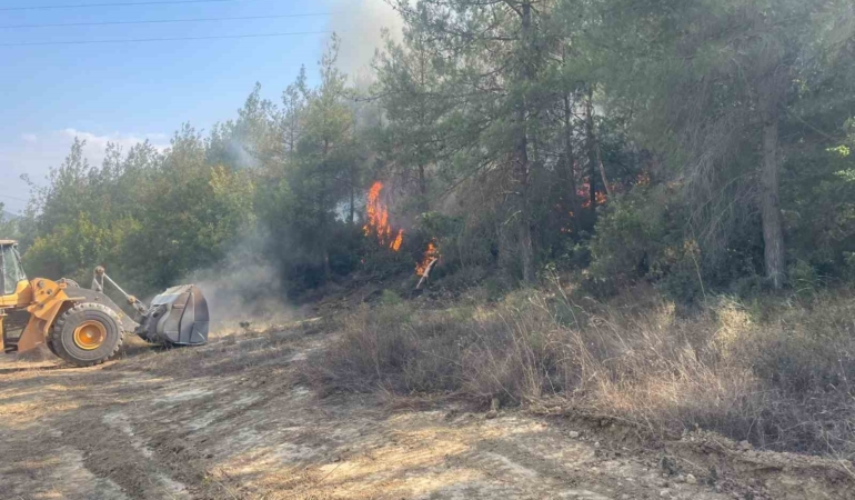 Bilecik’teki orman yangını kısmen kontrol altına alındı