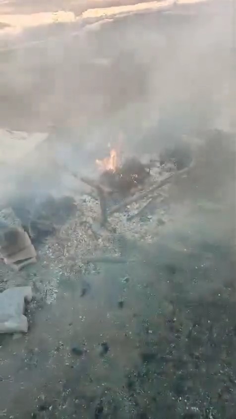 Arılıkta çıkan yangında çok sayıda arı telef oldu
