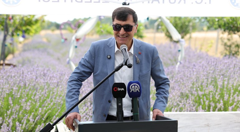 Lavanta bahçesinde hasat coşkusu
