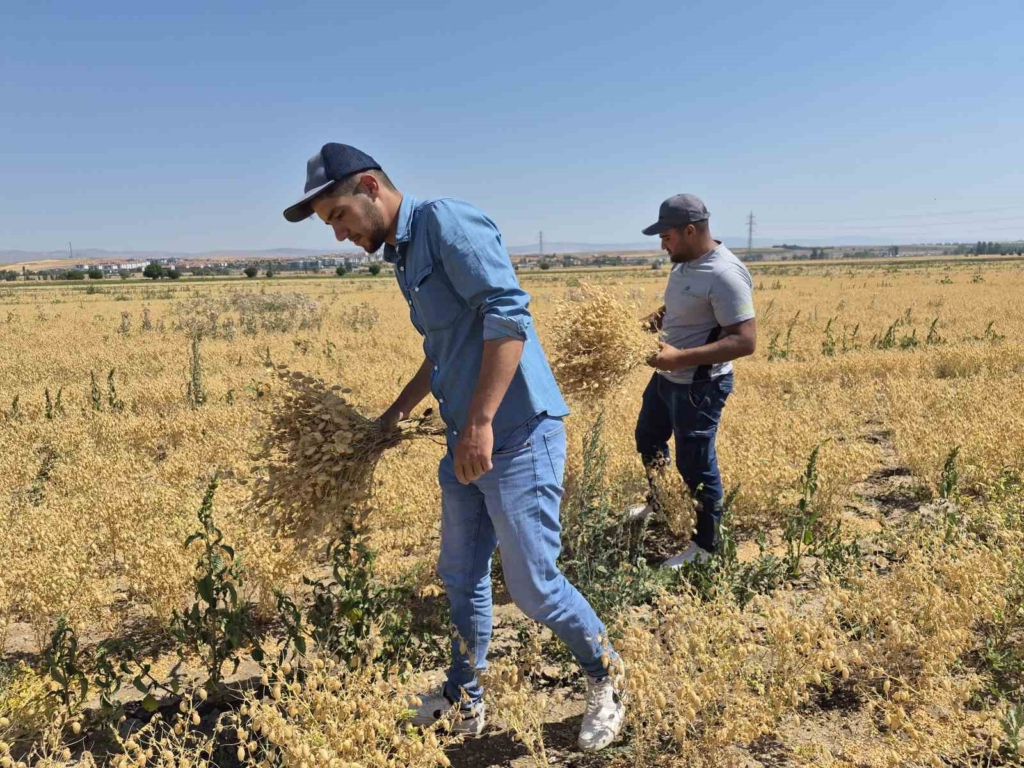 Geleceğin ziraat mühendisleri Eskişehir’de yetişiyor