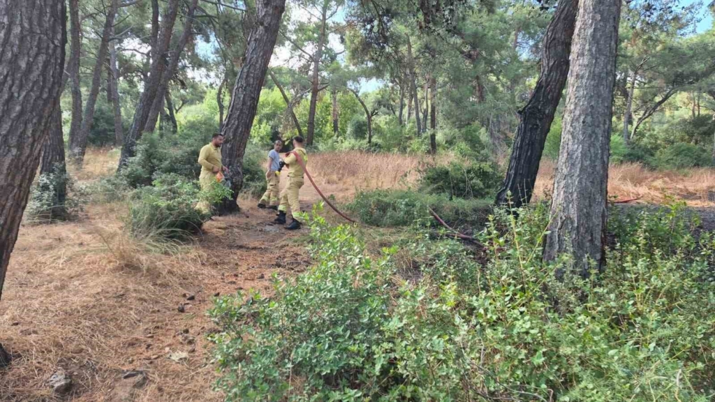 Heybeliada’da korkutan yangın: Ekiplerin hızlı müdahalesiyle söndürüldü