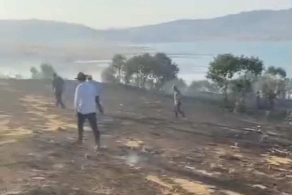 Diyarbakır’da ağaçlık alanda yangın