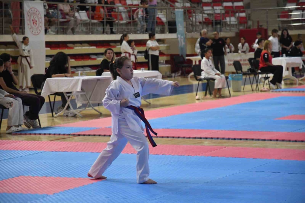 Eskişehir’de 2’inci İller Arası Taekwondo Poomsae Turnuvası heyecanı