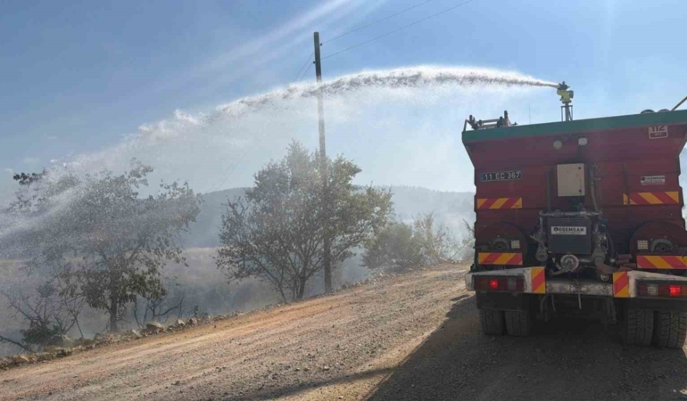 Bilecik’te devrilen elektrik direği 7 dönümlük alanı yaktı