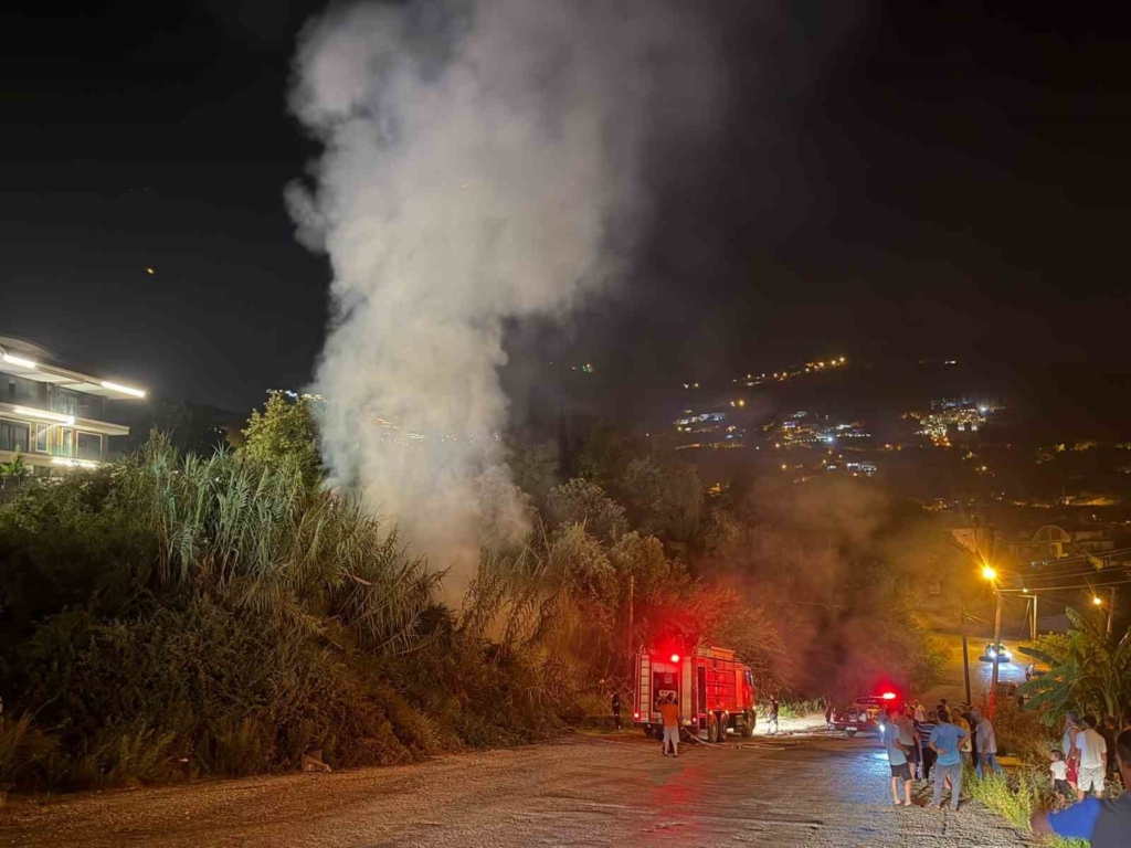Alanya’da sazlık alanda yangın