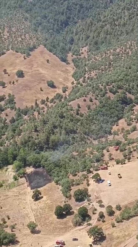 Bursa’da orman yangınına havadan ve karadan müdahale